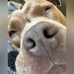 Meet your Posher, Ava